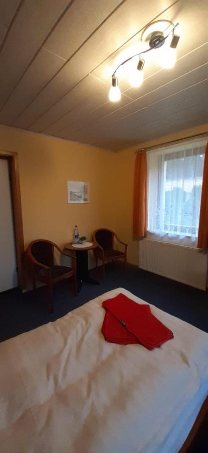 Fruehstueckspension "Schloesselmuehle" Johstadt Экстерьер фото
